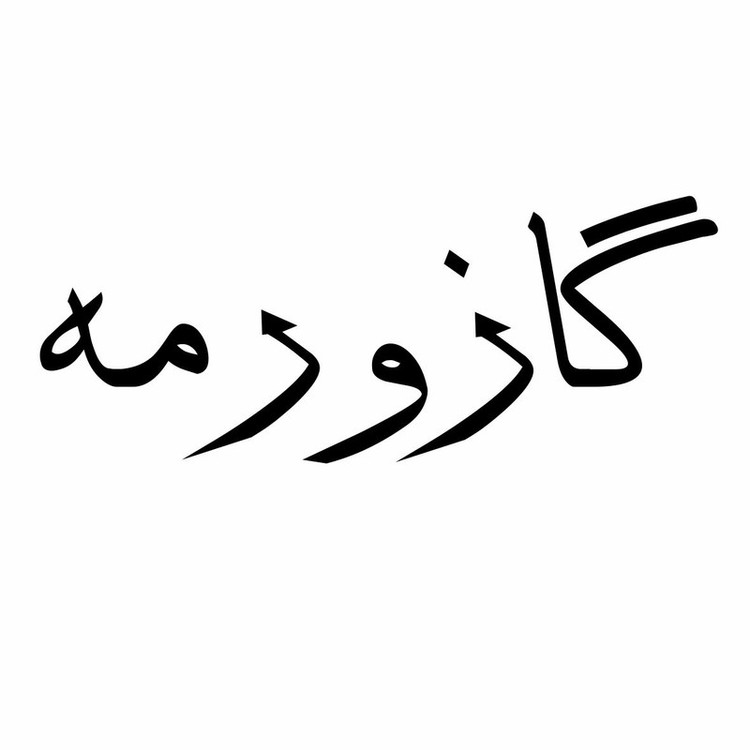 برچسب بدنه خودرو طرح گاز ورمه کد 01G تولیدی مستر لوکسینو