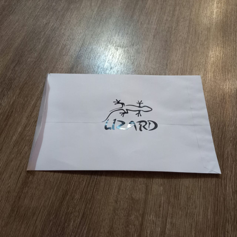 برچسب بدنه خودرو لیزارد مدل اسپورت طرح بال اسکلت کد LZD-815 تولیدی مستر لوکسینو