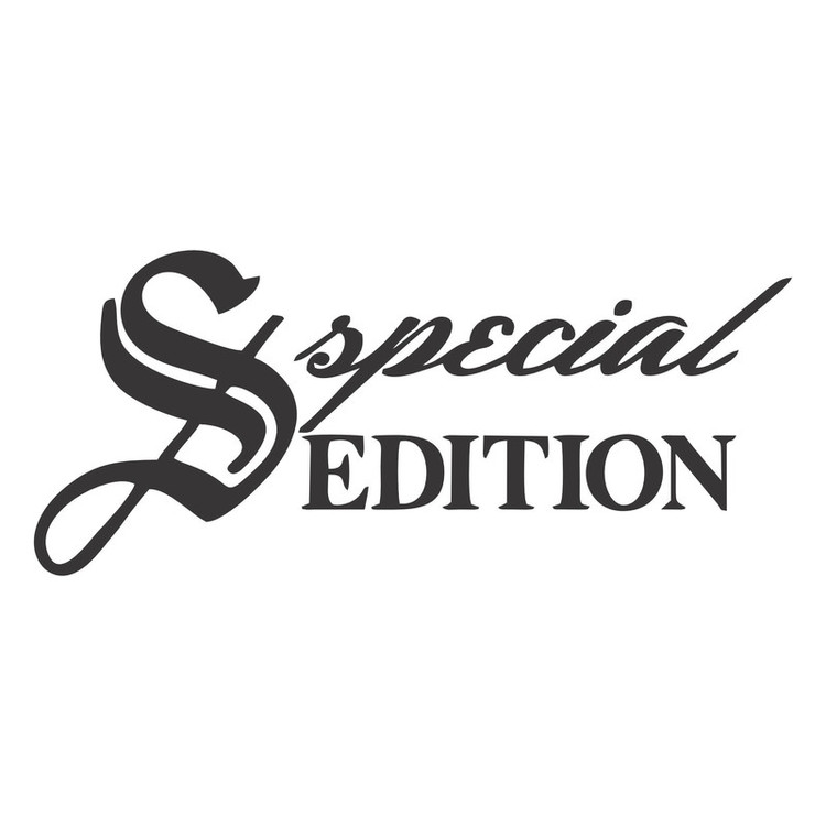 برچسب بدنه خودرو ونگارد مدل Sapecial کد W2 تولیدی مستر لوکسینو
