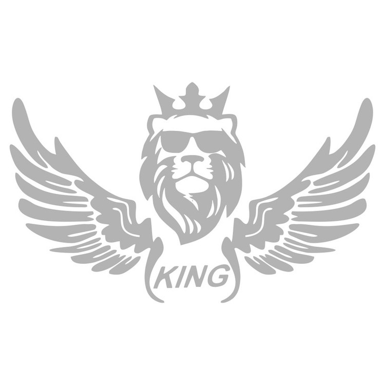 برچسب بدنه خودرو ماتریسیو طرح بال کد M07 تولیدی مستر لوکسینو