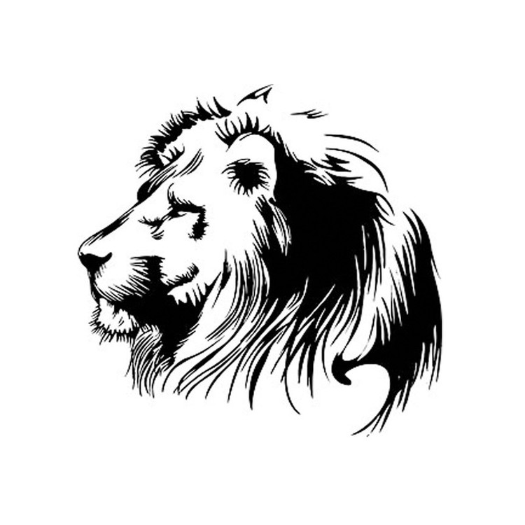 برچسب بدنه خودرو طرح شیر کد SS100 تولیدی مستر لوکسینو