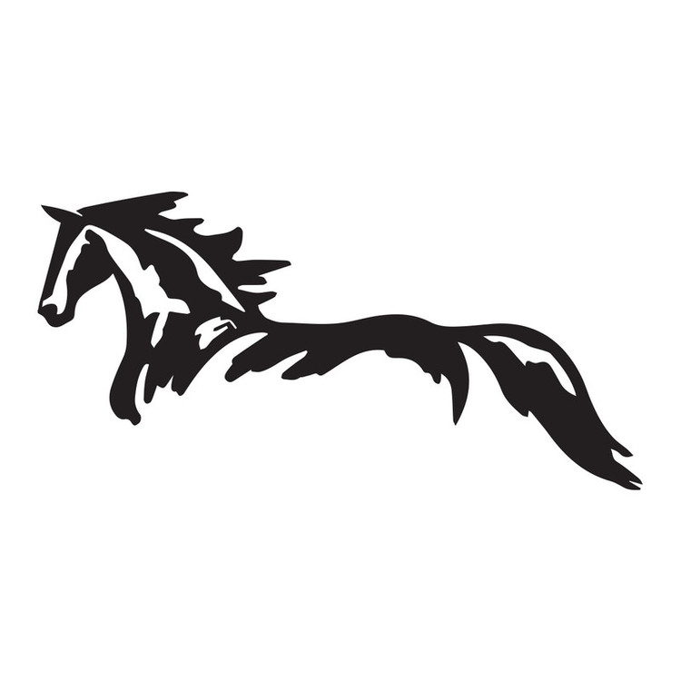 استیکر لپ تاپ گراسیپا طرح اسب تولیدی مستر لوکسینو