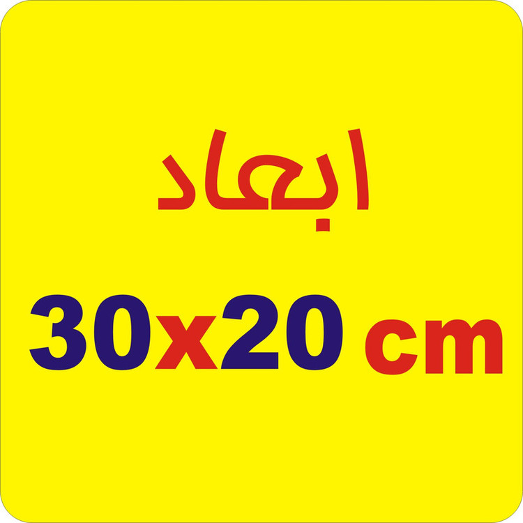 برچسب بدنه خودرو لیزارد مدل اسپورت طرح بال اسکلت کد LZD-817 تولیدی مستر لوکسینو